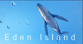 survival-game-eden-island