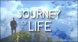 survival-game-journey-of-life