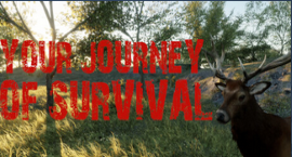 survival-game-your-journey-of-survival